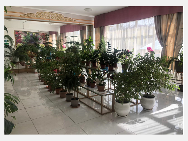 Оранжерея цветов